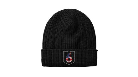 Distressed Patriotic Logo Beanie