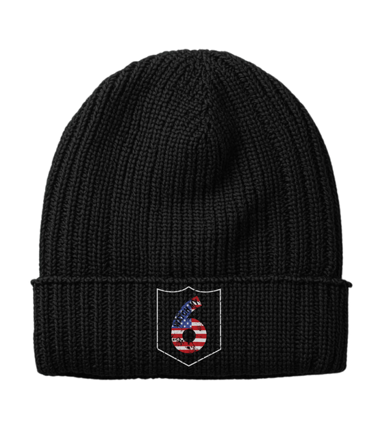 Distressed Patriotic Logo Beanie